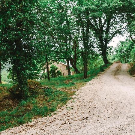 Parulia Country House Arezzo Extérieur photo