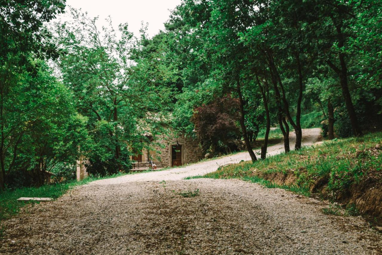 Parulia Country House Arezzo Extérieur photo