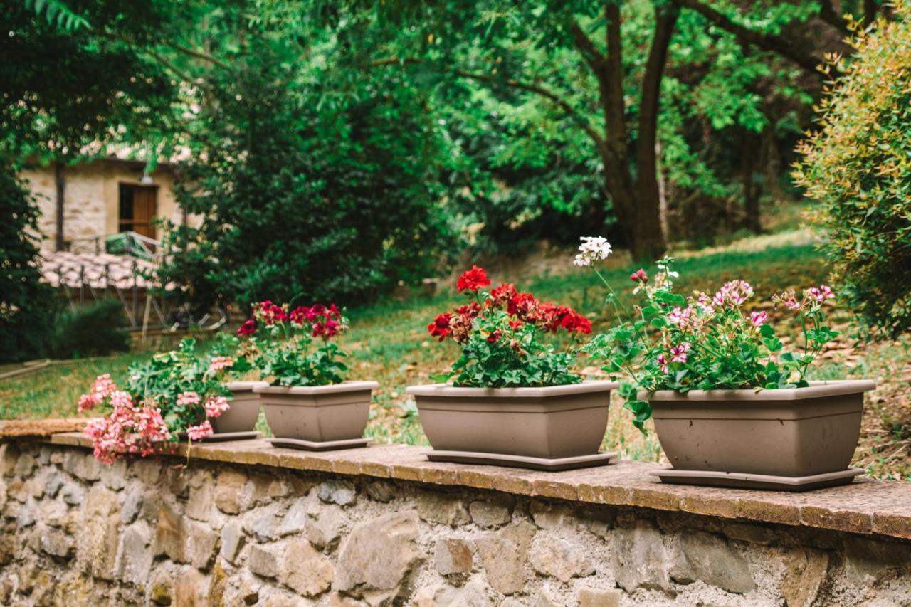 Parulia Country House Arezzo Extérieur photo